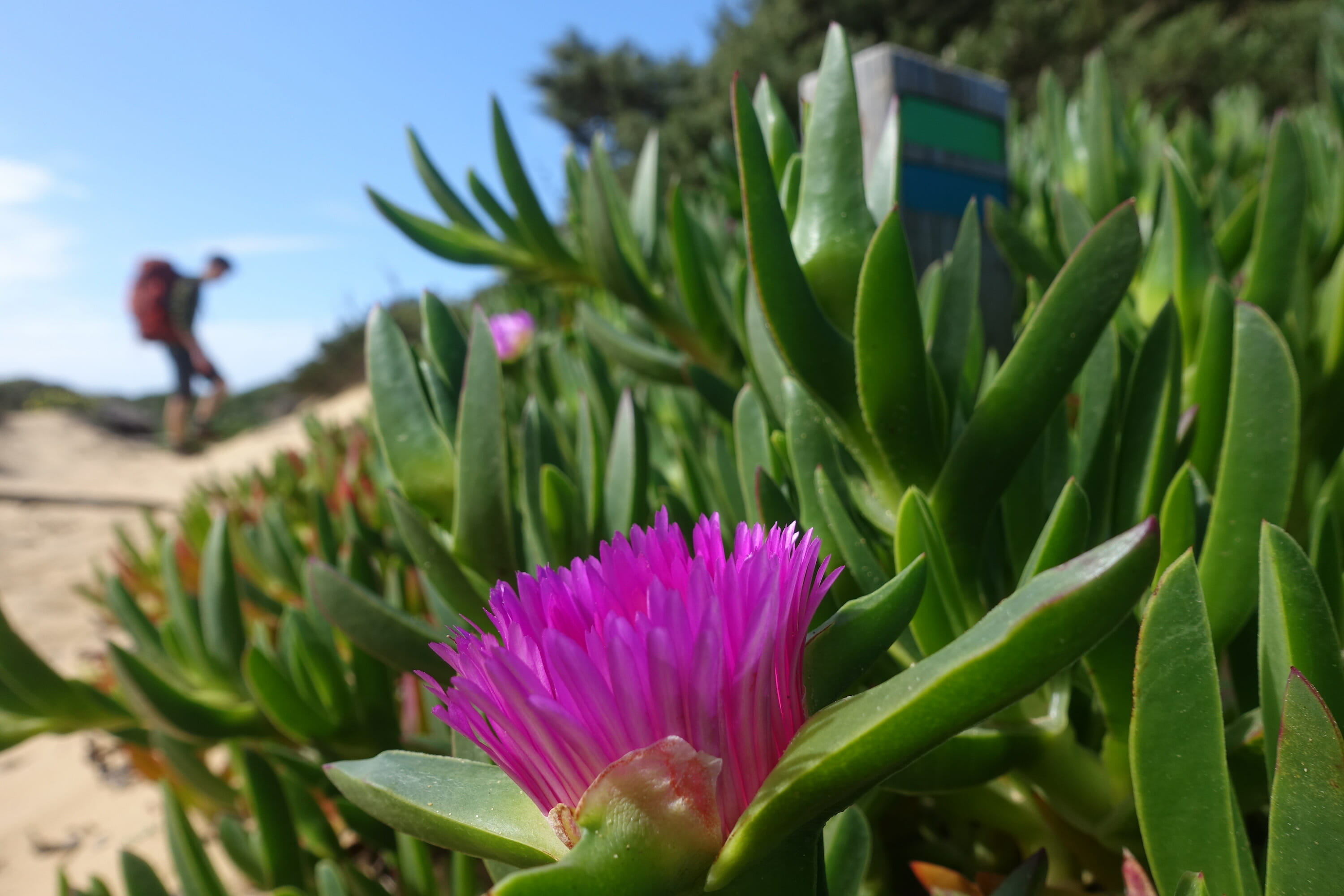 Southwest Portugal Coastal Hiking Overview Shoulder Season
